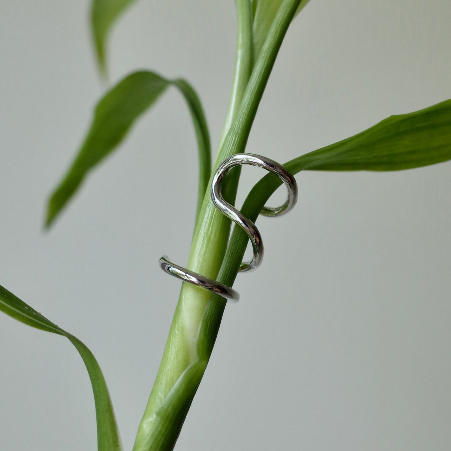Two&Half Laps Ear Cuff