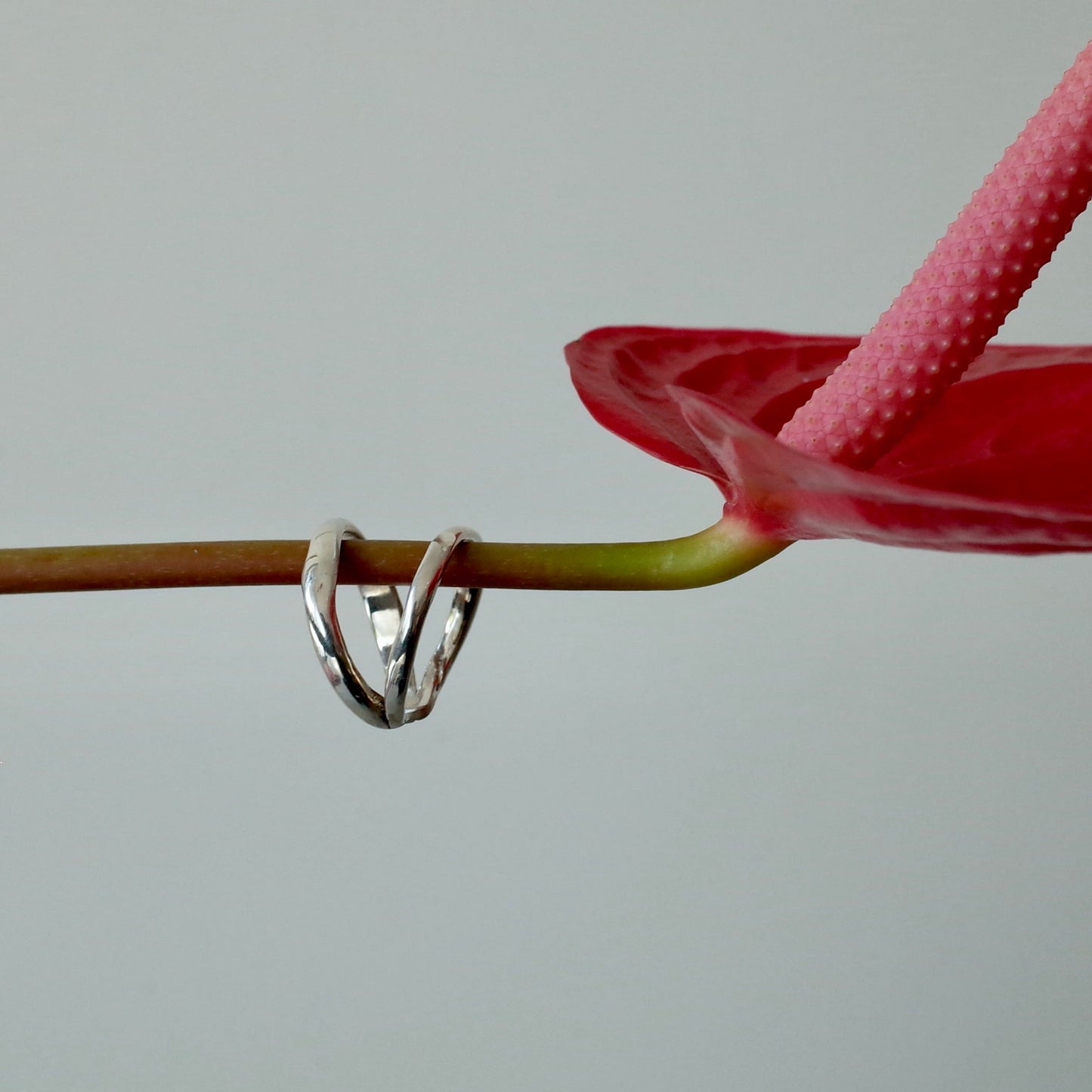 Two Strands Rough Ring