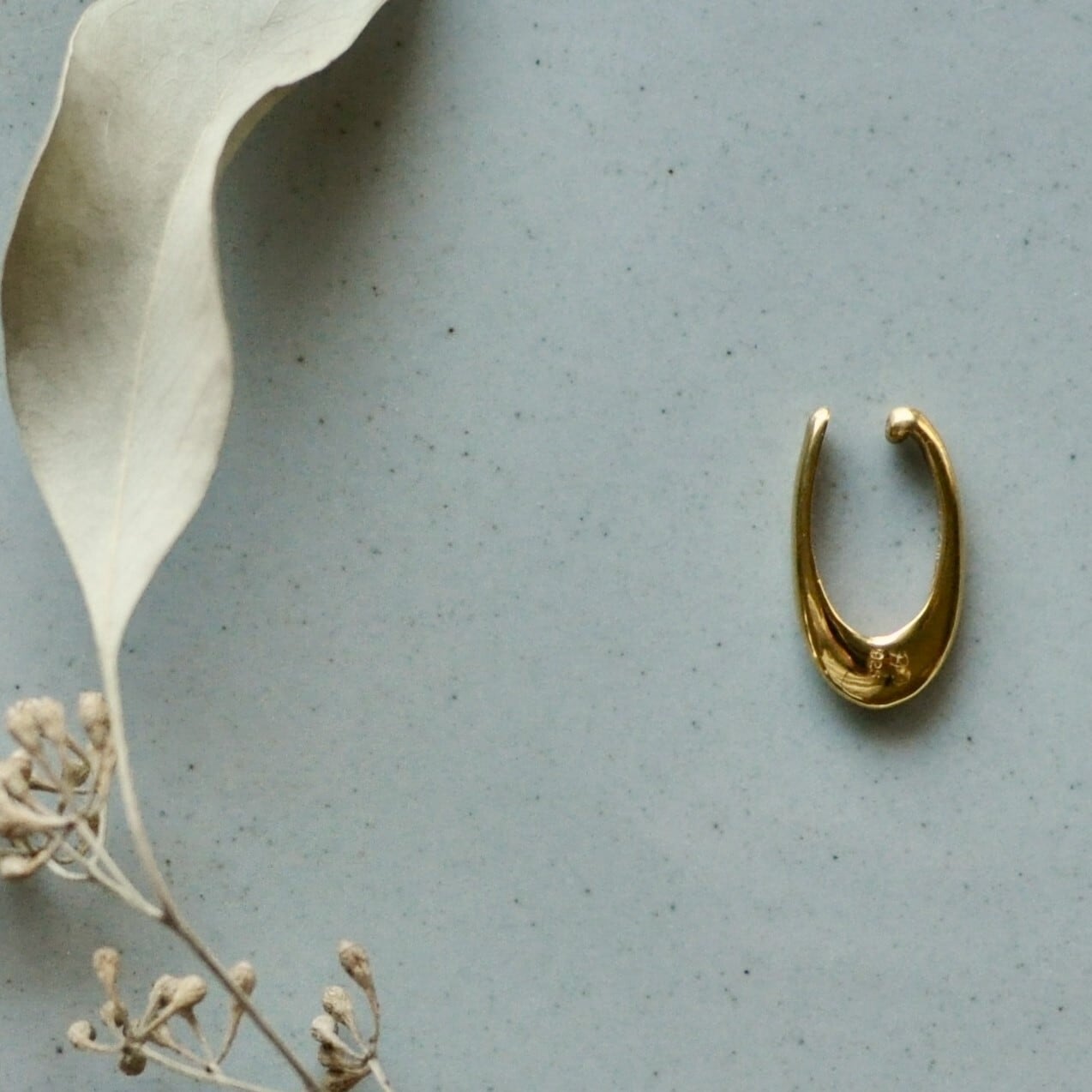 Large Hawk Claw Ear Cuff