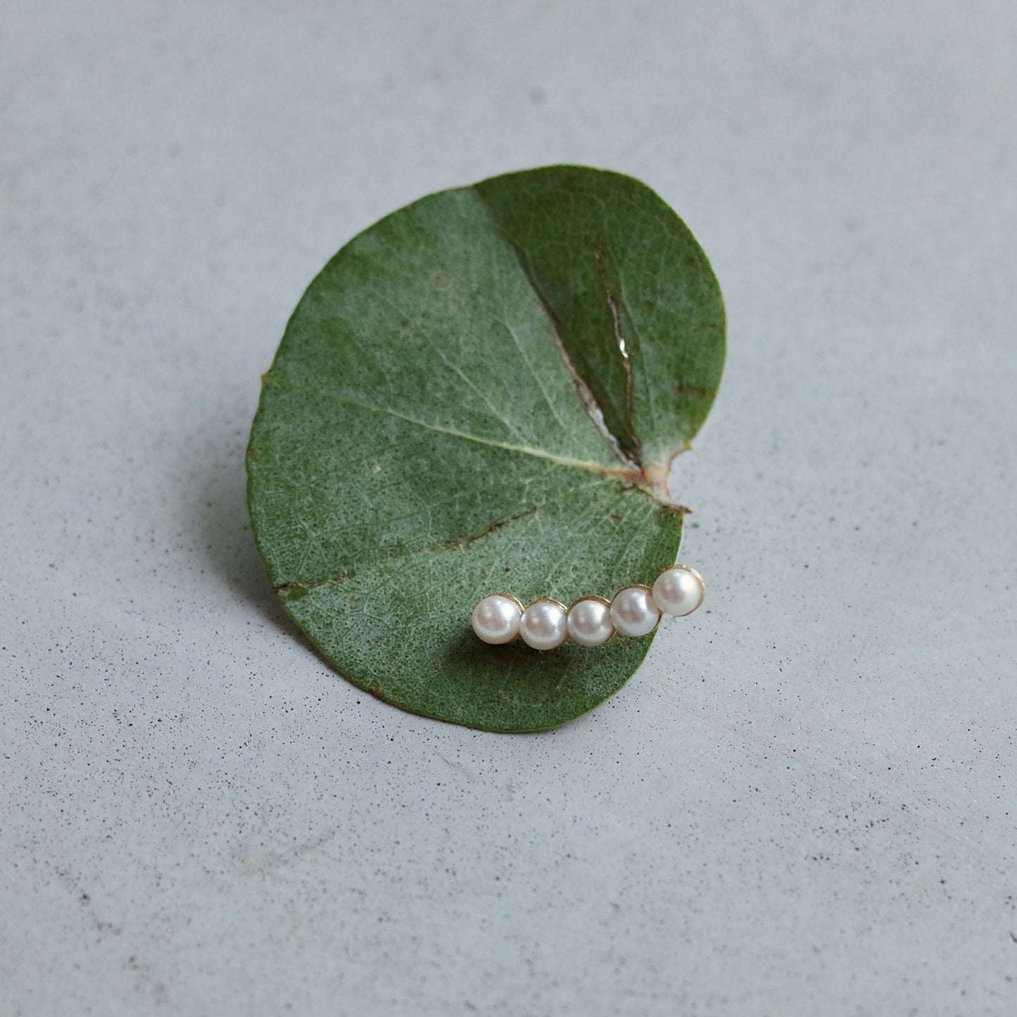 Follow Pearl Pierce