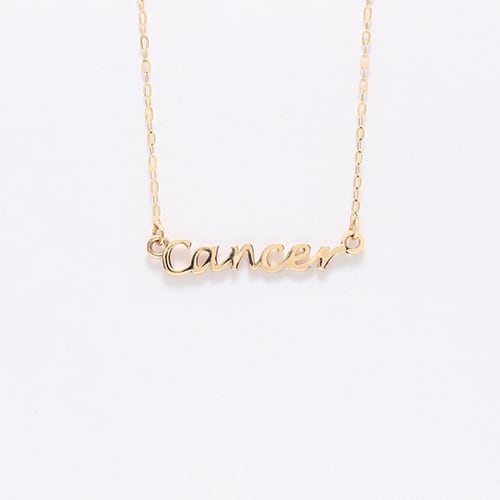 K10 Twelve Constellations Necklace