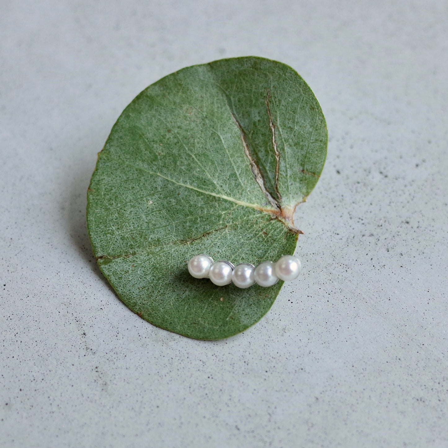 Follow Pearl Pierce