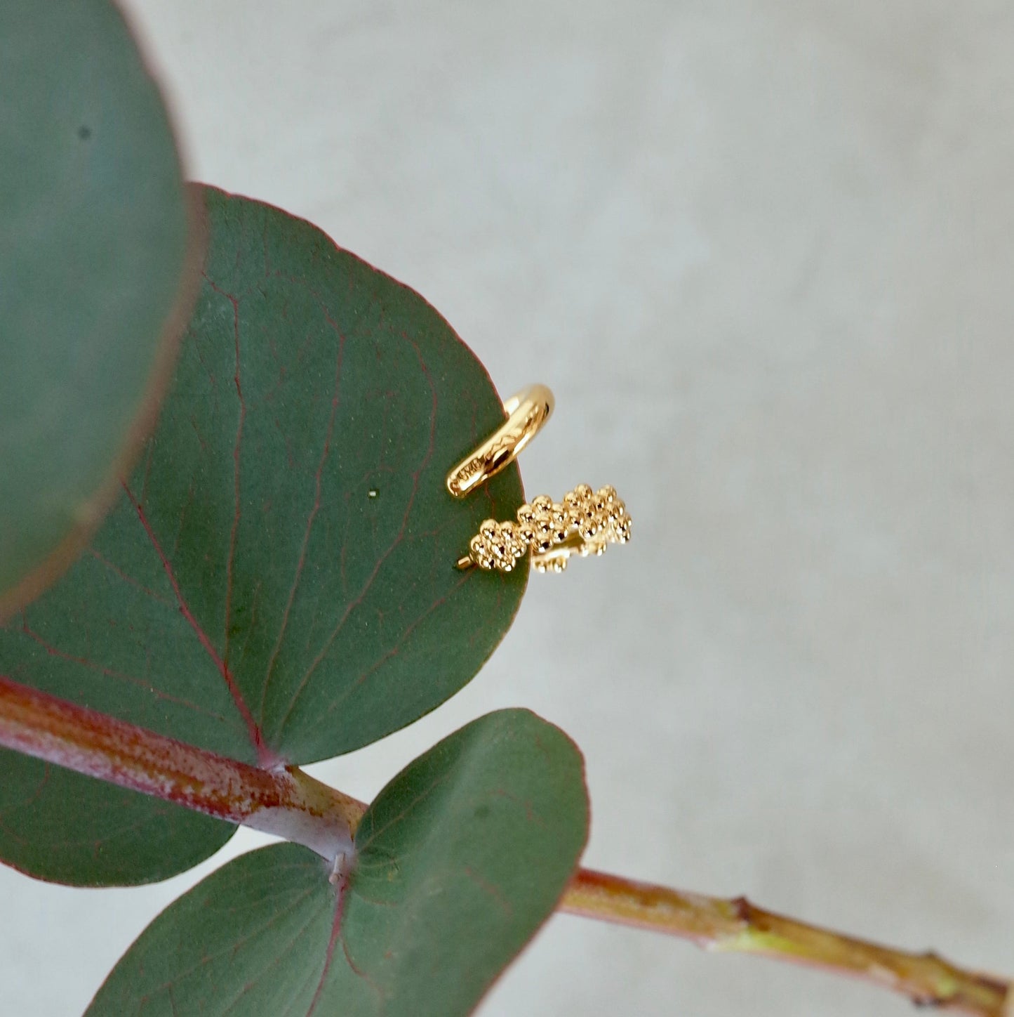 Synchronize Pierce (flower)